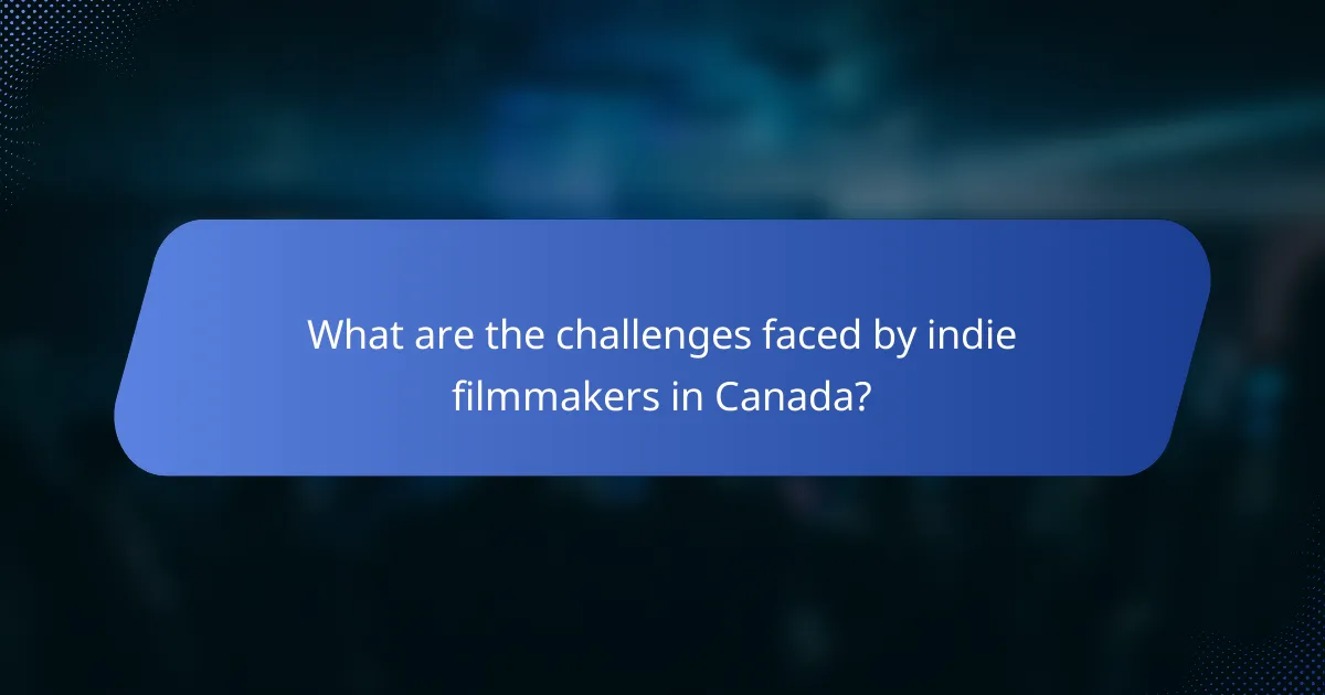 What are the challenges faced by indie filmmakers in Canada?